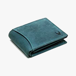 portfolio img
